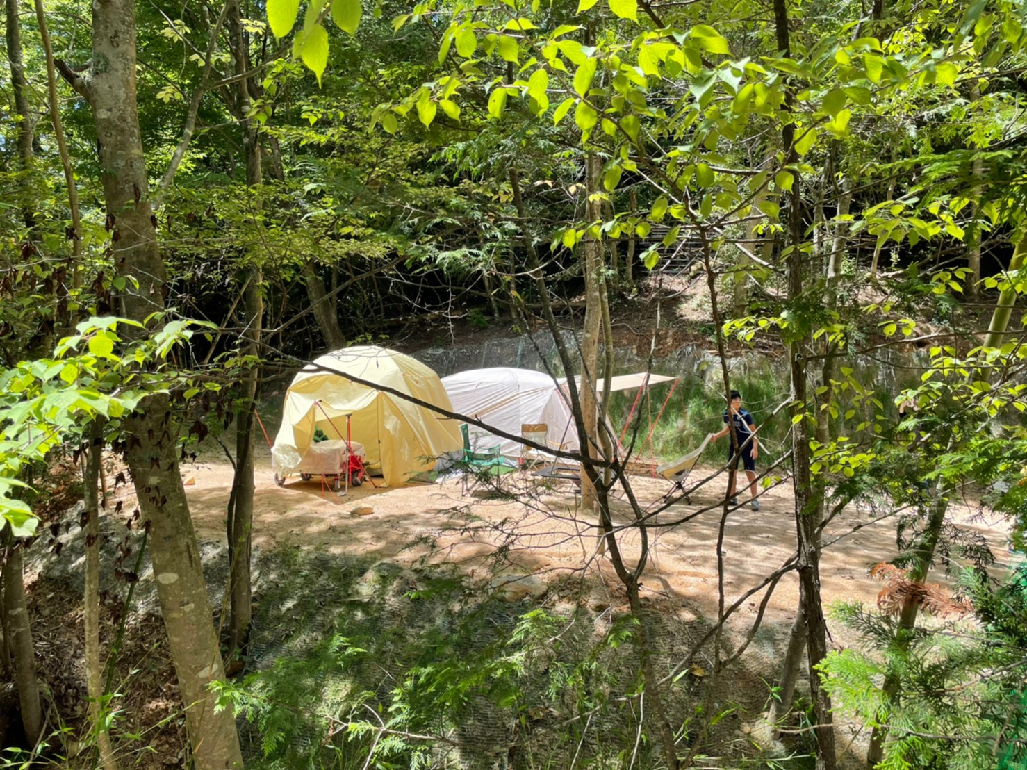 世羅台地の貸し切りが出来る野うさぎの杜キャンプ場 キャンプ場